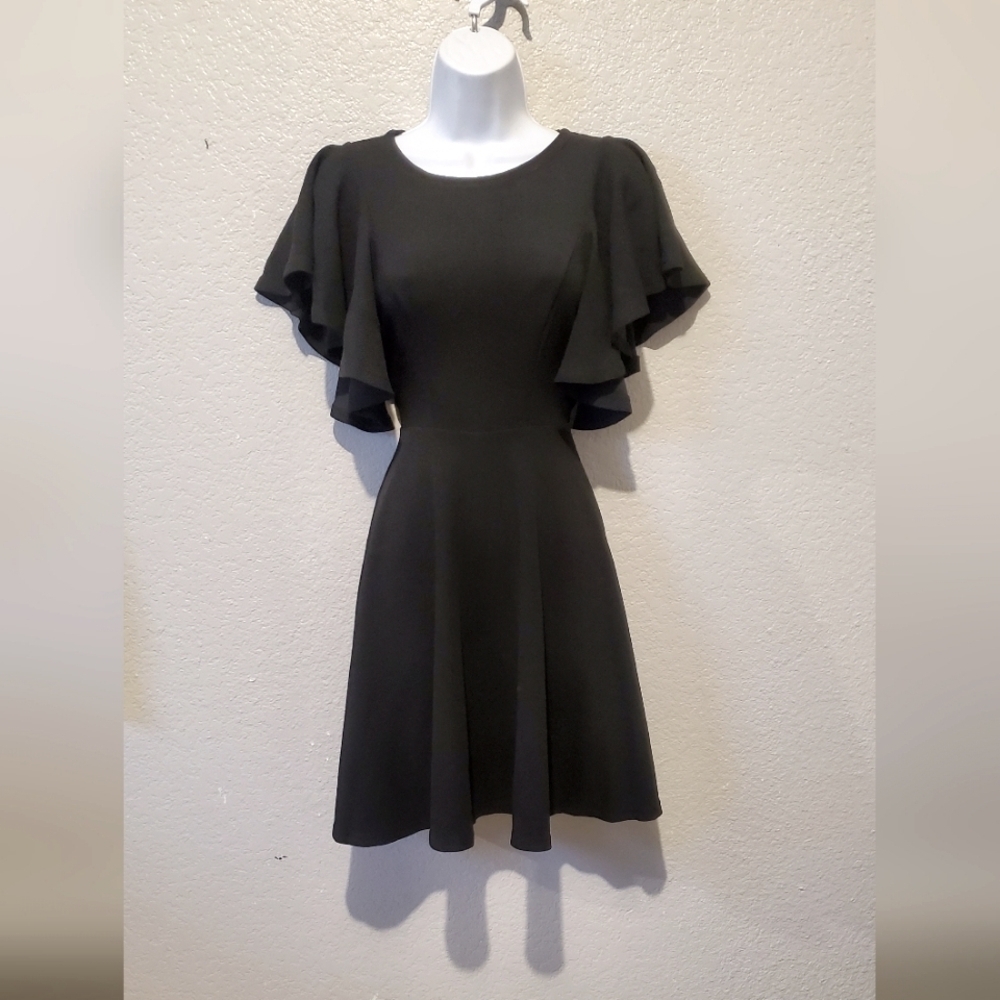 H&M Elegant Black Ruffled Sleeve Fit & Flare Dress Size XS